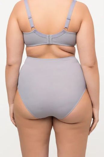 Plus size veliki brojevi Gaćice visokog struka od mikrofibre za punije