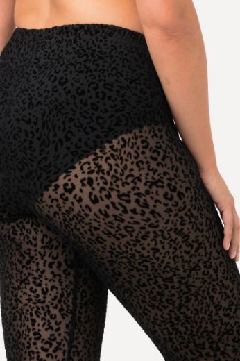 Plus size veliki brojevi Tajice s printom leoparda za punije