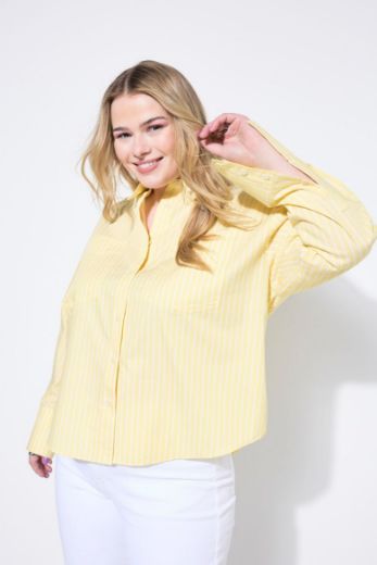 Plus size veliki brojevi Košulja dugih rukava na pruge za punije