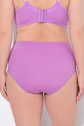 Plus size veliki brojevi Gaćice od mikrofibre za punije