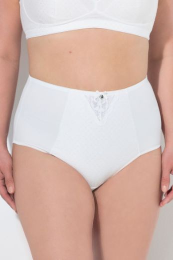 Plus size veliki brojevi Gaćice maxi visokog struka za punije