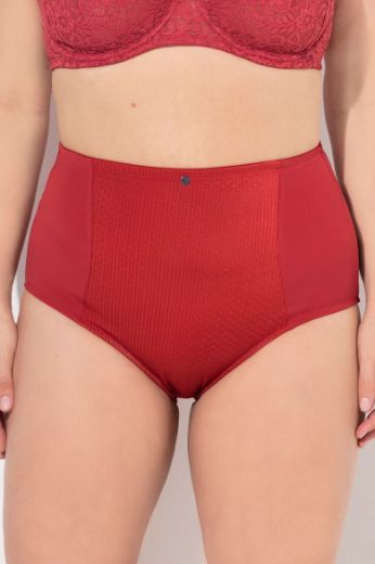 Plus size veliki brojevi Gaćice visokog struka za punije