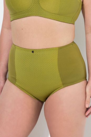 Plus size veliki brojevi Gaćice visokog struka za punije
