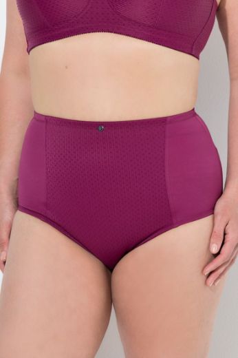 Plus size veliki brojevi Gaćice visokog struka za punije