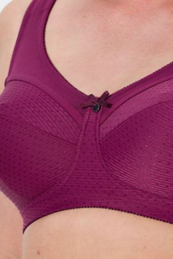 Plus size veliki brojevi Grudnjak Kelly za punije