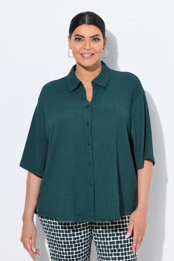 Plus size veliki brojevi Bluza polu rukava na kopčanje za punije