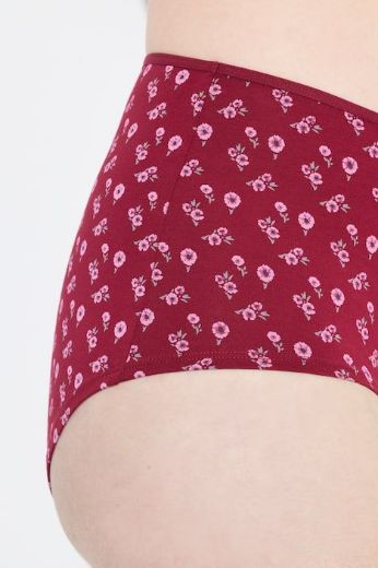 Plus size veliki brojevi Gaćice hipster 3 komada za punije