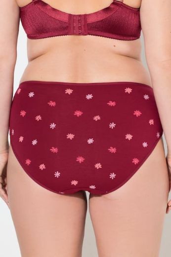 Plus size veliki brojevi Gaćice midi  5 komada za punije