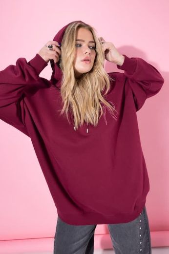 Plus size veliki brojevi Majica dugih rukava s kapuljačom šireg kroja za punije