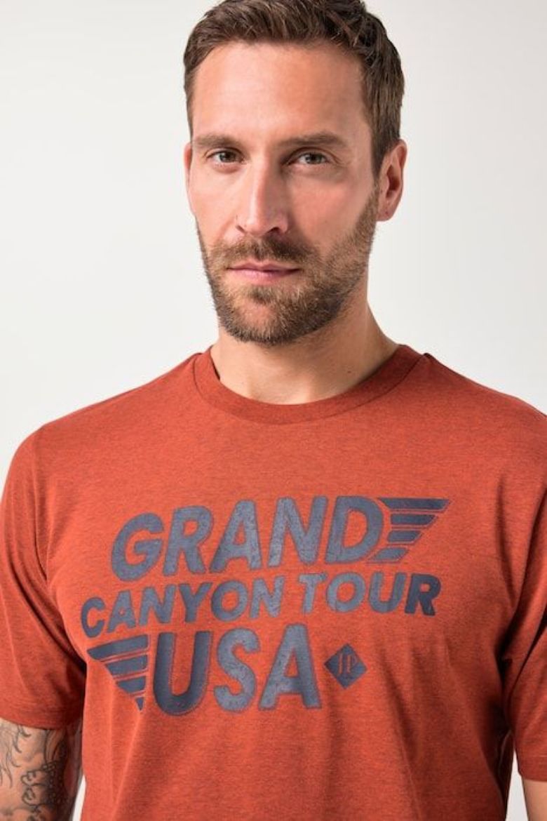 Plus size veliki brojevi Majica kratkih rukava za punije