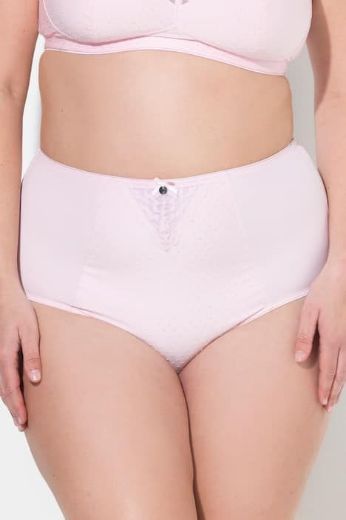 Plus size veliki brojevi Gaćice maxi visokog struka za punije