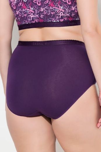 Plus size veliki brojevi Gaćice 3 komada za punije