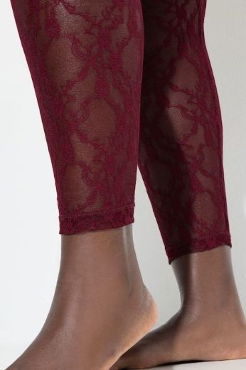 Plus size veliki brojevi Tajice od prozirne čipke za punije