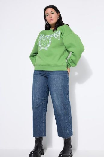 Plus size veliki brojevi Majica dugih rukava šireg kroja za punije