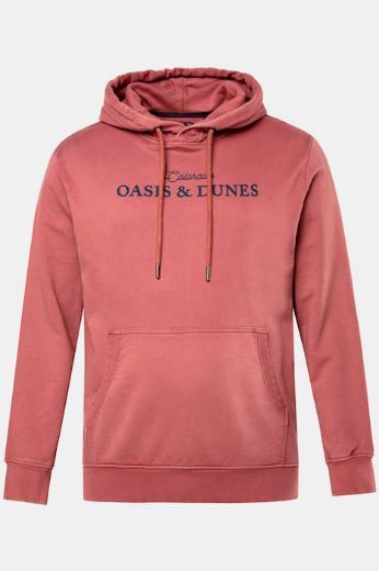 Plus size veliki brojevi Majica dugih rukava sa kapuljačom za punije