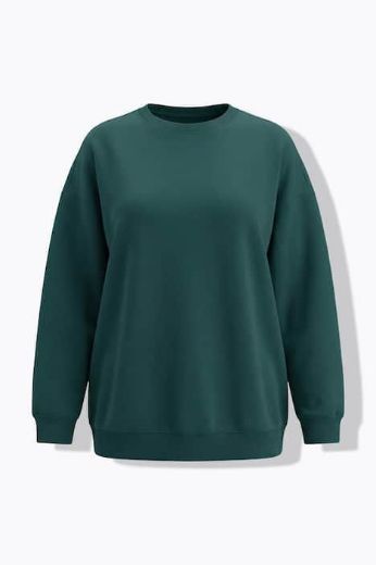 Plus size veliki brojevi Majica dugih rukava šireg kroja za punije