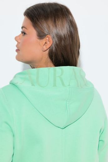 Plus size veliki brojevi Majica dugih rukava s patentnim zatvaračem i kapuljačom dužeg kroja za punije