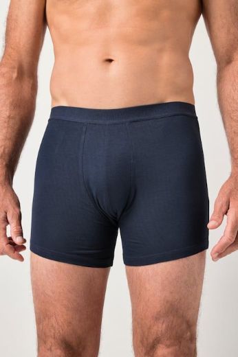 Plus size veliki brojevi Gaće 2 u paketu za punije