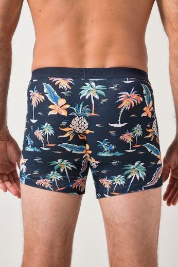 Plus size veliki brojevi Gaće 2 u paketu za punije