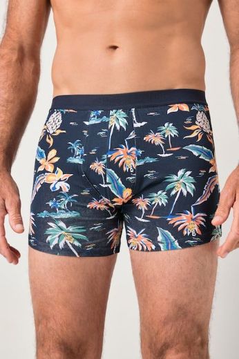 Plus size veliki brojevi Gaće 2 u paketu za punije