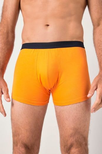 Plus size veliki brojevi Gaće 3 u paketu za punije