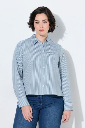 Plus size veliki brojevi Košulja dugih rukava na pruge s kragnom i ukrasnim printom za punije