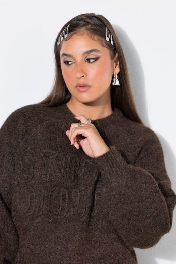 Plus size veliki brojevi Pulover dugih rukava za punije