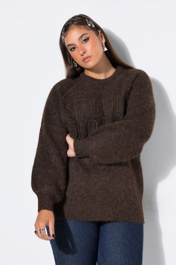 Plus size veliki brojevi Pulover dugih rukava za punije