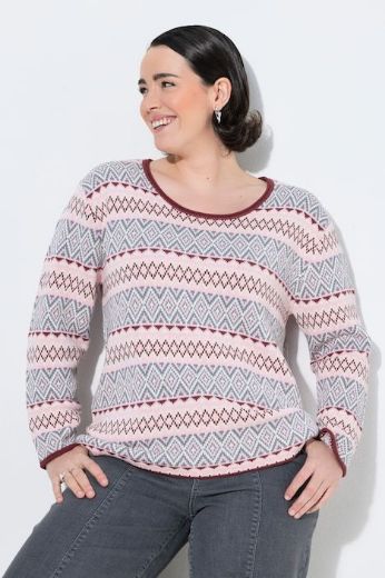 Plus size veliki brojevi Pulover dugih rukava za punije