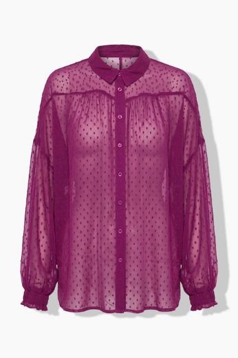 Plus size veliki brojevi Bluza dugih rukava od prozirnog šifona za punije